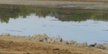 wetland-restoration-work.jpg
