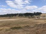 Mill Creek Corp Center Wetland